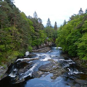 Forest Glen Holiday Park